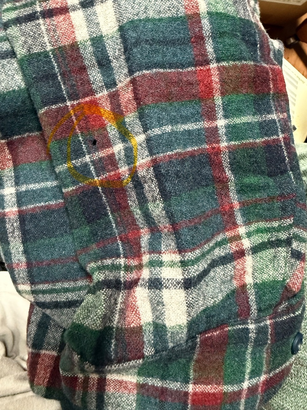 Pendleton - Picture 6 of 8